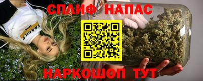 амф Шахты