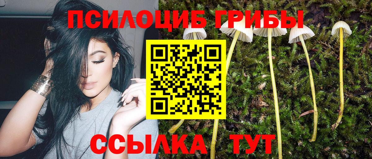 Псилоцибиновые грибы мухоморы Сургут